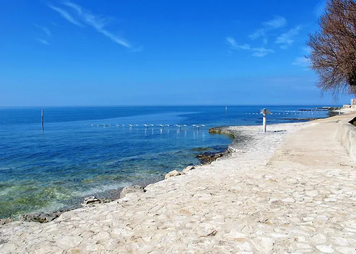 Silva Mit Terrasse By Interhome 아파트